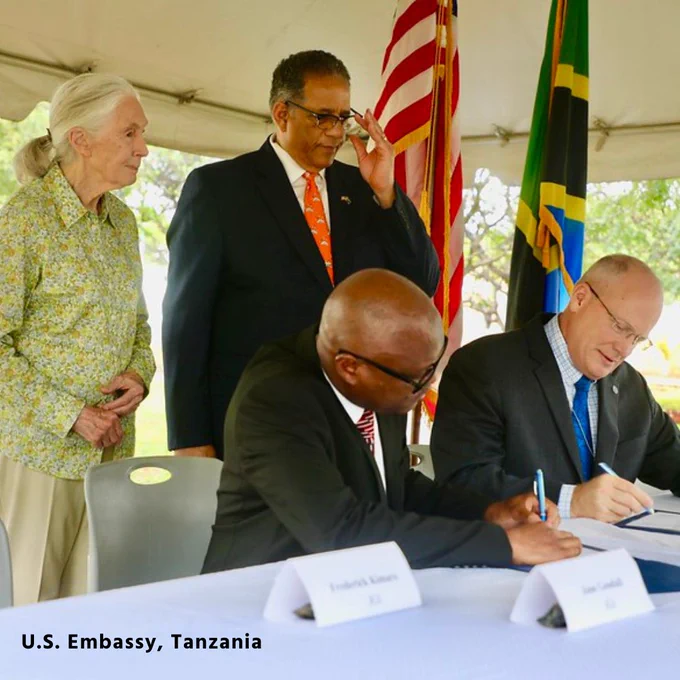 Photo of an elderly, feminine person with pale skin and white hair pulled into a ponytail (Dr. Jane Goodall) standing with a middle-aged, masculine person with brown skin and short, black hair (Michael Battle). In front of them, two people sit at a table and sign a document—a middle-aged, masculine person with brown skin and a bald head (Freddy Kimaro) and a middle-aged, masculine person with pale skin and a balding head (Craig Hart). Photo credit: U.S. Embassy, Tanzania.