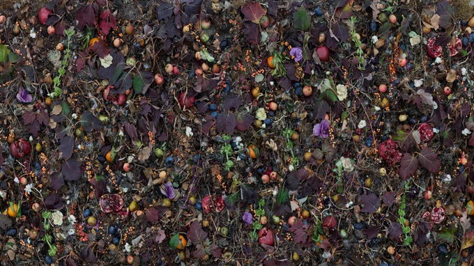Leaves, fruits, flowers, dirt and other plants of dark hues lay amongst one another. 