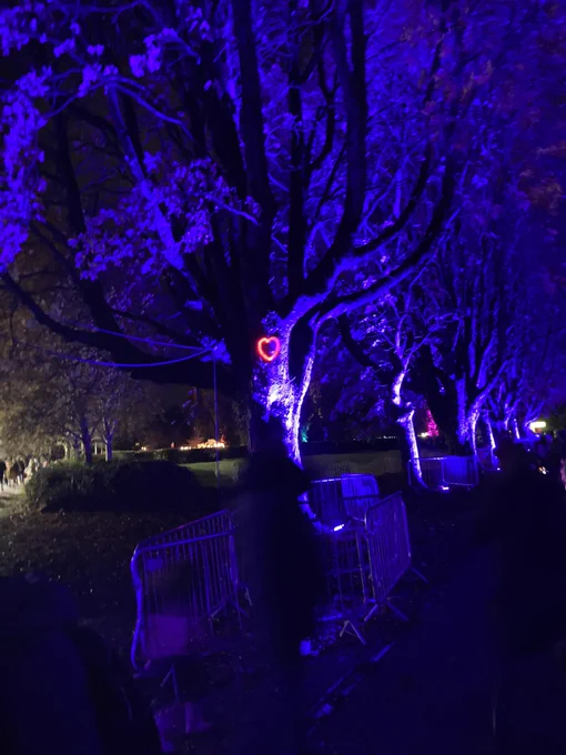 An underlit line of trees, with the tree in the front having protective barriers around it and a projection of a heart symbol on its trunk, with parkland in the background including some illuminated small structures.