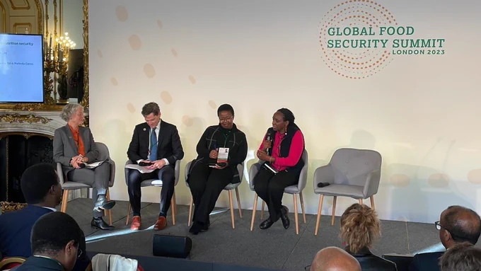 Panel members at the Global Food Security Summit, London, 20 November 
