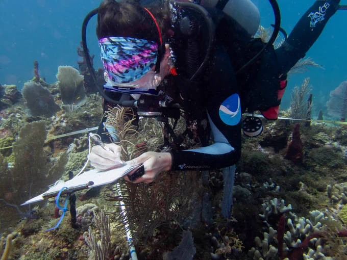A person hovers over a coral reef while writing on a clipboard.