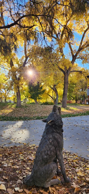 UNM campus photo with Lobo statue in the foreground and trees with fall colors in the background