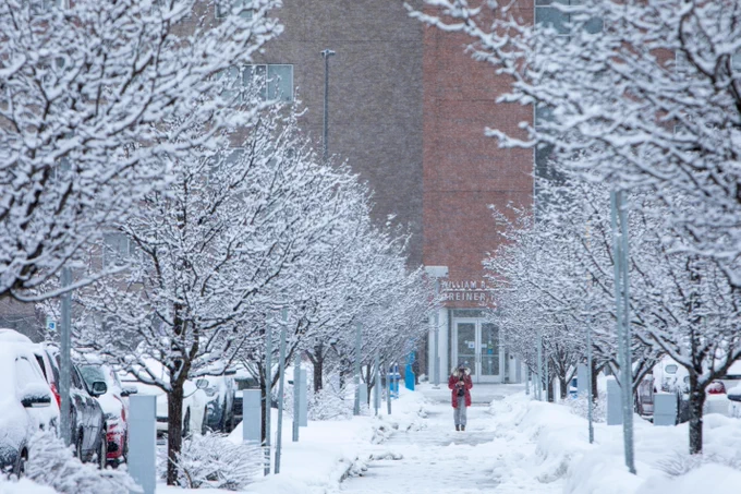 A snowy morning outside Greiner Hall.