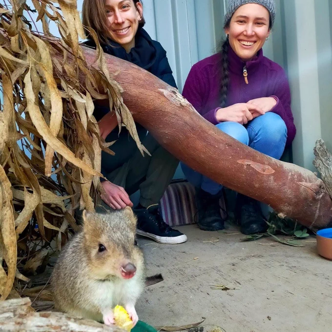 ANU Masters students with a bettong during a Mulligans Flat Fieldwork Placement