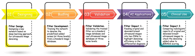 Schematic diagram of five phases involved in this study. 