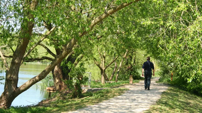 A person walking down a path, surrounded by grass and trees. Credit: Nottingham City Council.