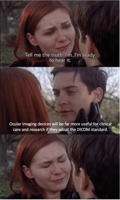Three-frame meme involving characters from Spider-Man movie. Top frame: Mary Jane tells Peter "tell me the truth ... I'm ... I'm ready to hear it". Middle frame: Peter responds "ocular imaging devices will be far more useful for clinical care and research if they adopt the DICOM standard". Bottom frame: Mary Jane cries.