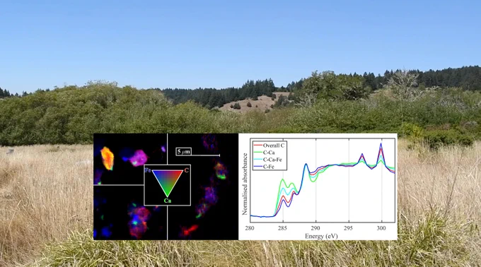 Left inset: Three examples of soil samples chemically mapped for iron, carbon, and calcium. Right inset: X-ray absorption spectra for various forms of carbon. Background: Photo of typical coastal grasslands at Point Reyes, California (credit: Marilyn Saarni).