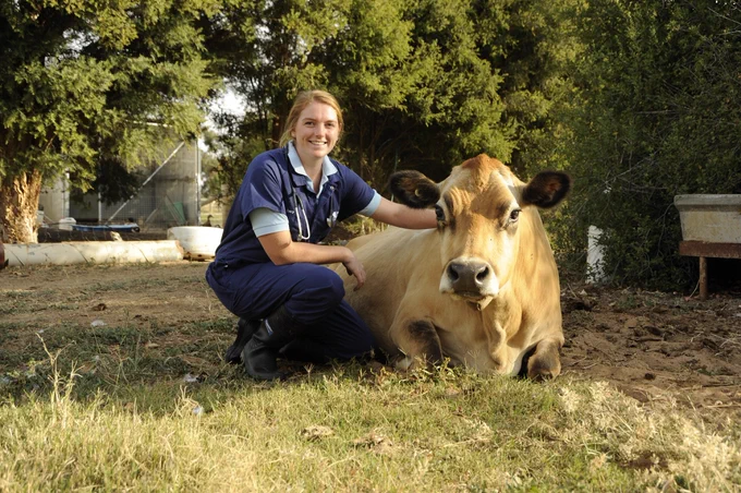 NEW NUFFIELD REPORT NOW AVAILABLE! 