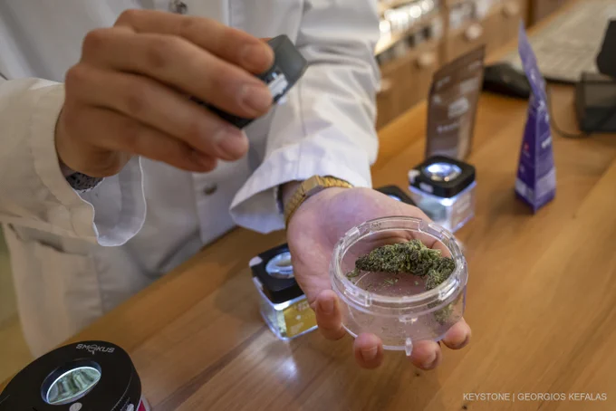 Das Bild zeigt einen Mann in weissem Kittel, der eine Dose mit einer Cannabis-Blüte zeigt. 