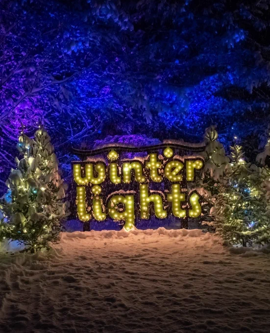 Lit-up sign reading "winter lights" on the snowy ground surrounded by trees