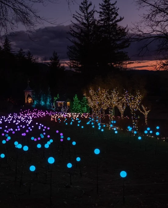 Colorful lights on the ground