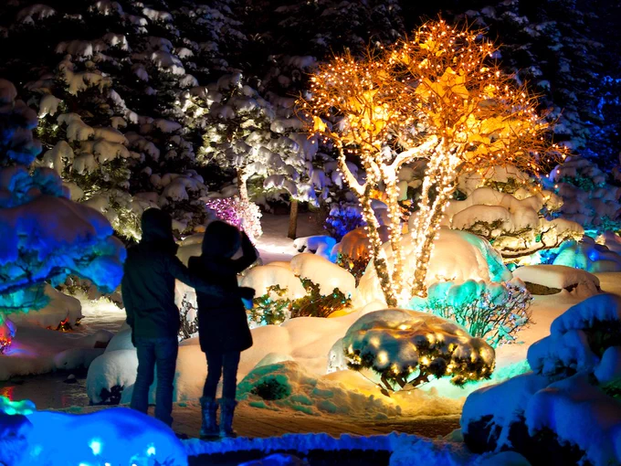 Two adults stand facing a colorful light display with a glowing and wrapped tree, bushes and water.