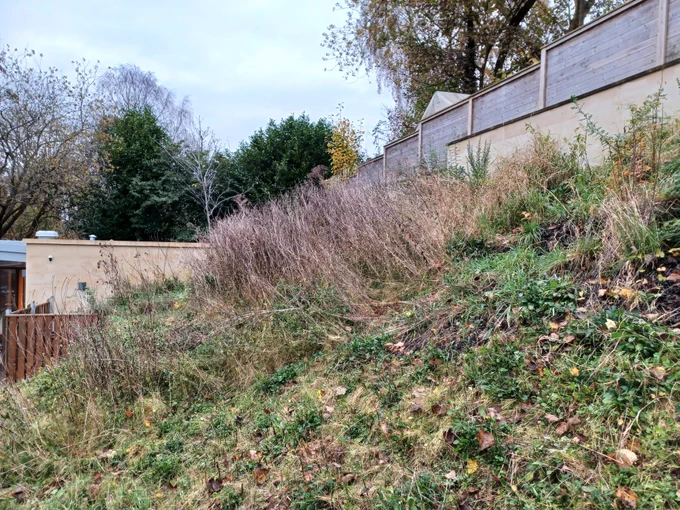 Bank of grass with spikey brown plants that have died back for the winter.