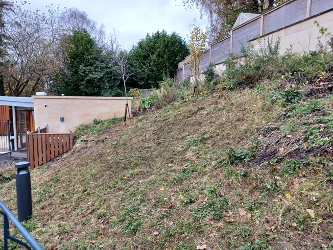 Same bank now cleared and looking a little muddier where the seed has been sown.