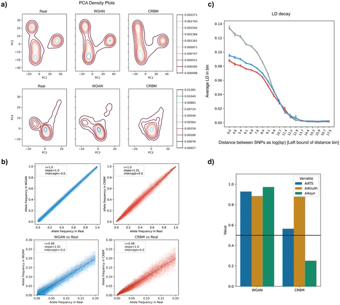 Fig 5. Principal component, allele frequency and linkage disequilibrium (LD) analyses of artificial genomes with 65,535-SNP size.
a) Density plot of the PCA of combined real genomes and artificial genomes generated by WGAN and CRBM. Density increases from red to blue. b) Allele frequency correlation between real and artificial genome datasets. Bottom figures are zoomed at low frequency alleles (from 0 to 0.2 overall frequency in the real dataset). Values presented inside the figures are Pearson’s r, ordinary least squares regression slope and intercept. The dashed black line is the identity line. c) LD decay approximation for real (grey), WGAN generated (blue) and CRBM generated (red) genomes (see Materials and methods for details). d) Nearest neighbour adversarial accuracy (AATS) of artificial genomes generated by different models for the 65,535-SNP dataset. Values below 0.5 (black line) indicate overfitting and values above indicate underfitting. 