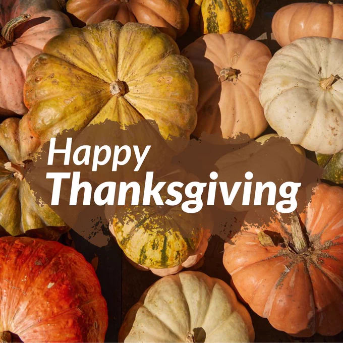 "Happy Thanksgiving" overlayed on a photo of colorful pumpkins.