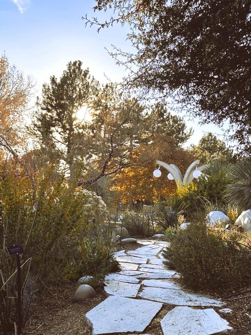 A stone path moves down through a garden full of shrubs, trees and dried flowers. The sun shine through the branches of the surrounding trees.