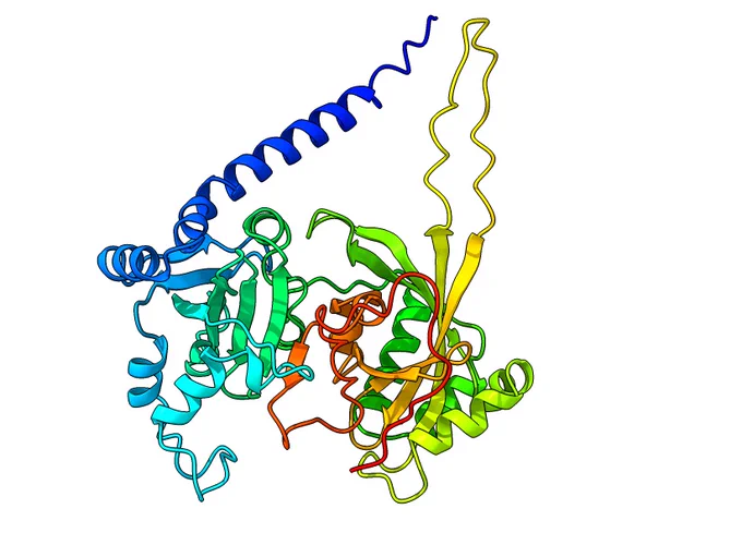 prediction of HHV-6B_DR6