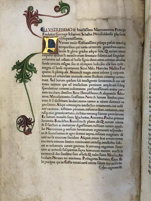 A page from a book written in Latin with an illuminated capital letter in gold leaf with green and red flourishes.