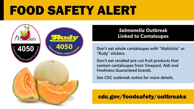 Whole and cut cantaloupe, and stickers that say “Malichita 4050” or “Rudy 4050.” Text says, “Food safety alert. Salmonella outbreak linked to cantaloupe. Don’t eat whole cantaloupes with “Malichita” or “Ruby” stickers. Don’t eat recalled pre-cut fruit products that contain cantaloupes from Vineyard, Aldi and Freshness Guaranteed brands. See CDC outbreak notice for more details." 