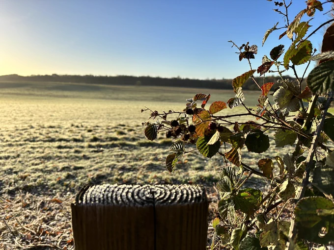 Frost on a fence post on a sunny morning