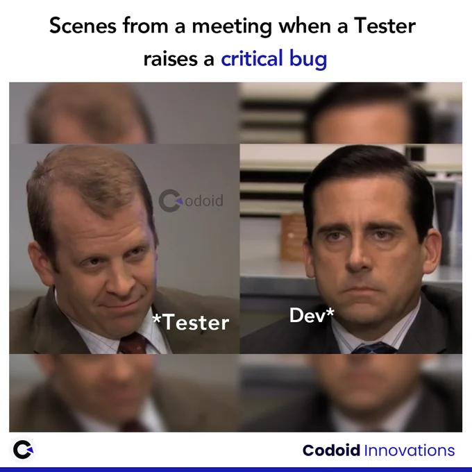 Software Testing Memes