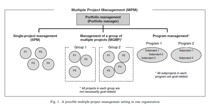What does project management's portfolio management entail? 