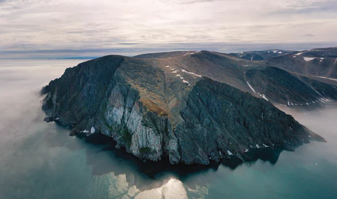 Landscape photo showing thick-billed murre colony at Cape Graham Moore, Nunavut 