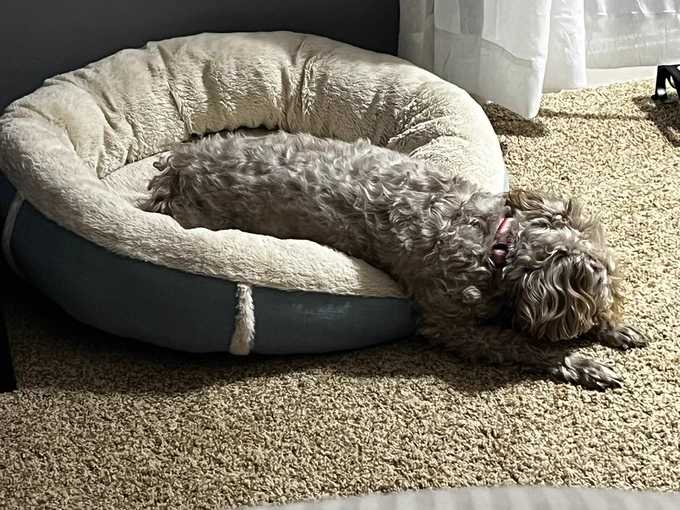 I got half out of bed. My work here is done. Tomorrow is another day.