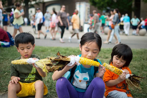 Roasted corn at the Minnesota State Fair
