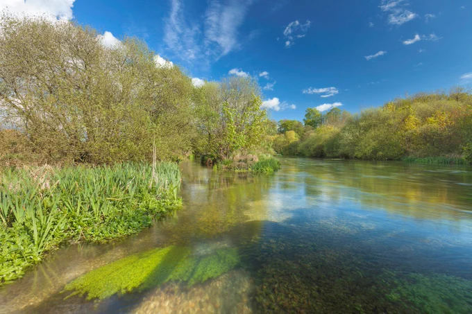 Image of a river flowing past trees and reeds, on a sunny day with blue sky and low levels of cloud cover