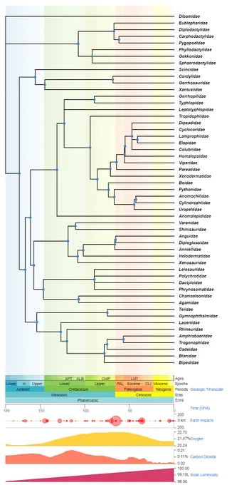 A phylogenetic timetree of 53 families within the order Squamata.  Below the tree are graphs tracking time, Earth impacts, O2, CO2 and solar luminosity