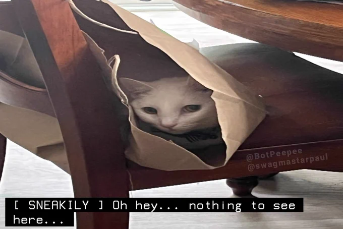 Paul Blart the cat peeks out from the inside of a paper bag which sits on a dining chair. He looks innocently at the camera.

Tone word: SNEAKILY
Caption: Oh hey… nothing to see here…