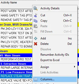 Take a look at the steps to remove a P6 baseline from a P6 Schedule!