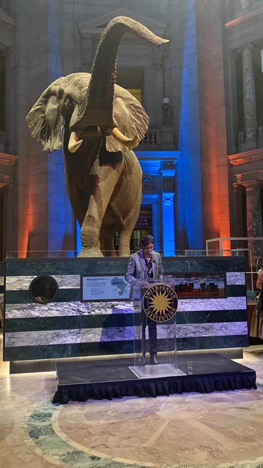Benjamin in the Smithsonian standing in front of the elephant