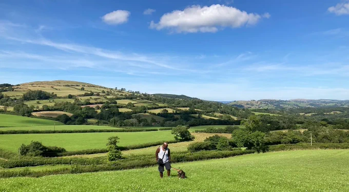 A dog's life in the Brecon Beacons