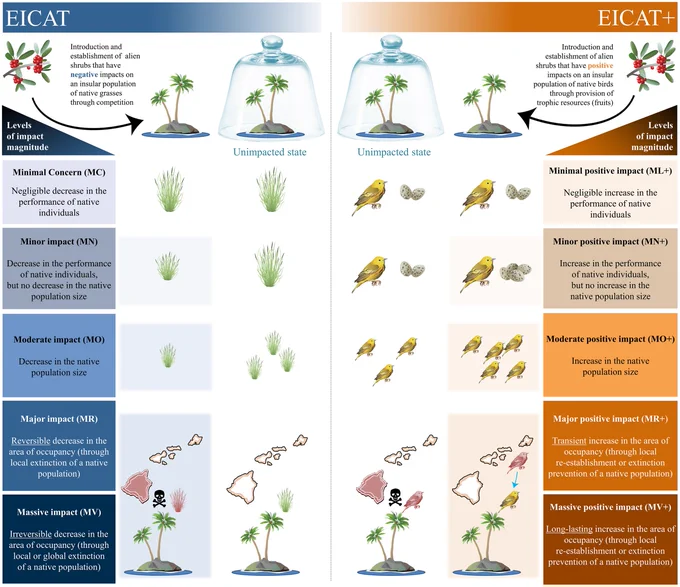 Illustration of EICAT and EICAT  scenarios