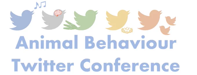 Animal Behaviour Twitter Conference logo with Twitter birds demonstrating different behaviour.