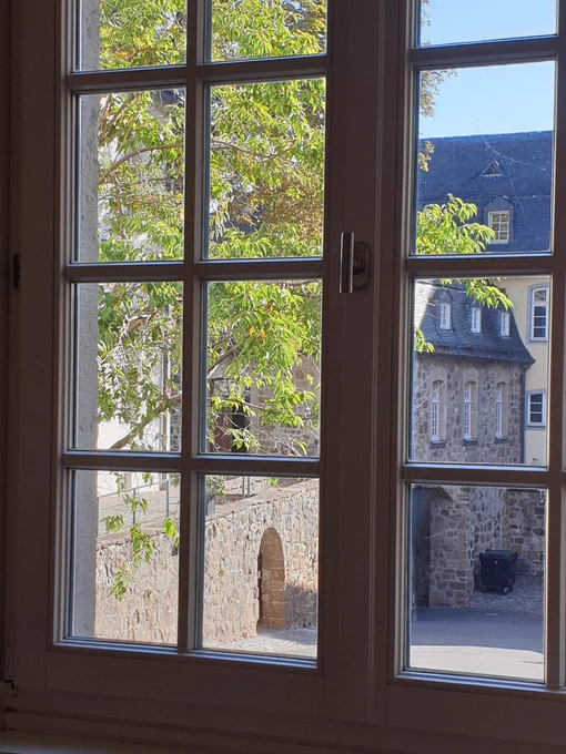 Sicht durch Sprossenfenster auf altes Gebäude