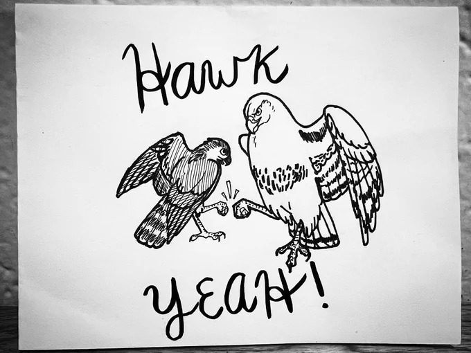 Drawing of two raptors fist bumping each other, caption says “hawk yeah!”