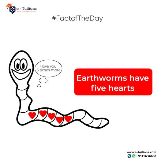 Earthworms etuitions