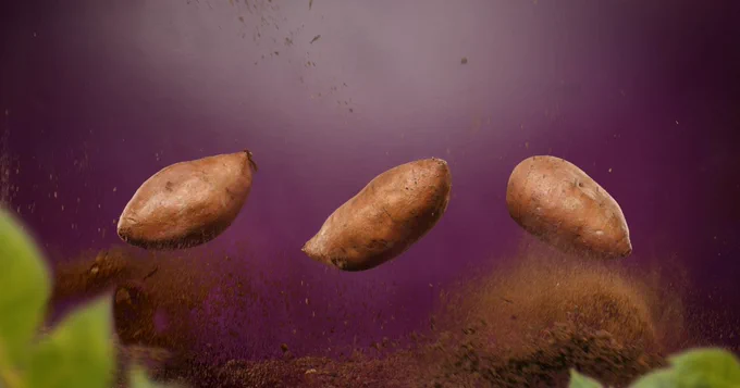 Sweet potato