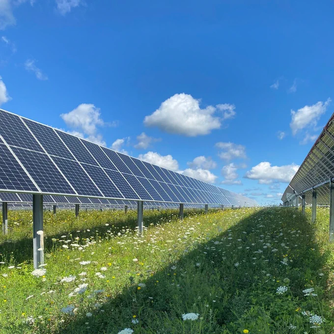 Ground mount solar PV system with wild flowers by Melink Solar