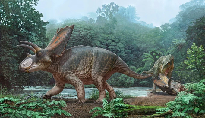 Bisticeratops froeseorum by Sergey Krasovskiy (@SergeyAtrox1)