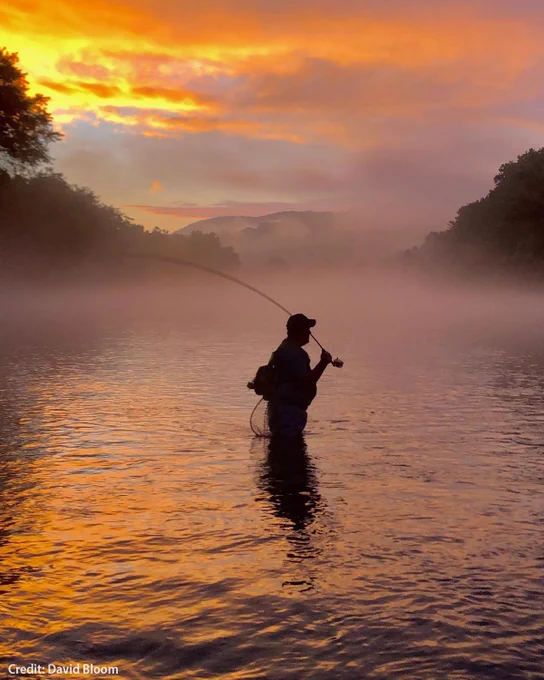 A silhouette of fly-fishing angler wading and casting in a river is set to a backdrop of a magnificent yellow and orange sunset.