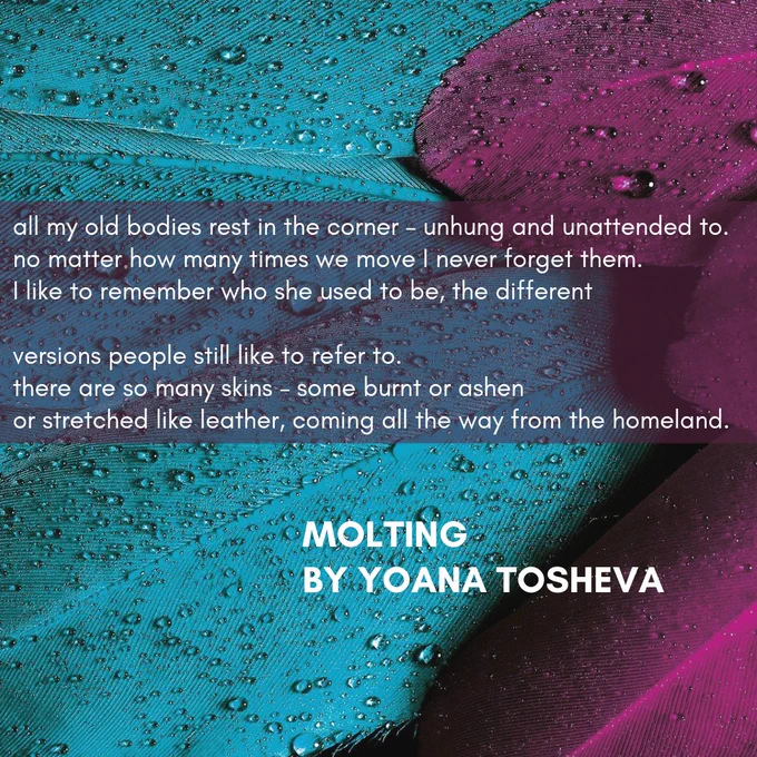 Teal and dark pink feathers sprinkled with water droplets. Text: 
all my old bodies rest in the corner - unhung and unattended to.
no matter how many times we move I never forget them.
I like to remember who she used to be, the different

versions people still like to refer to.
there are so many skins - some burnt or ashen or stretched like leather, coming all the way from the homeland.

MOLTING
BY YOANA TOSHEVA