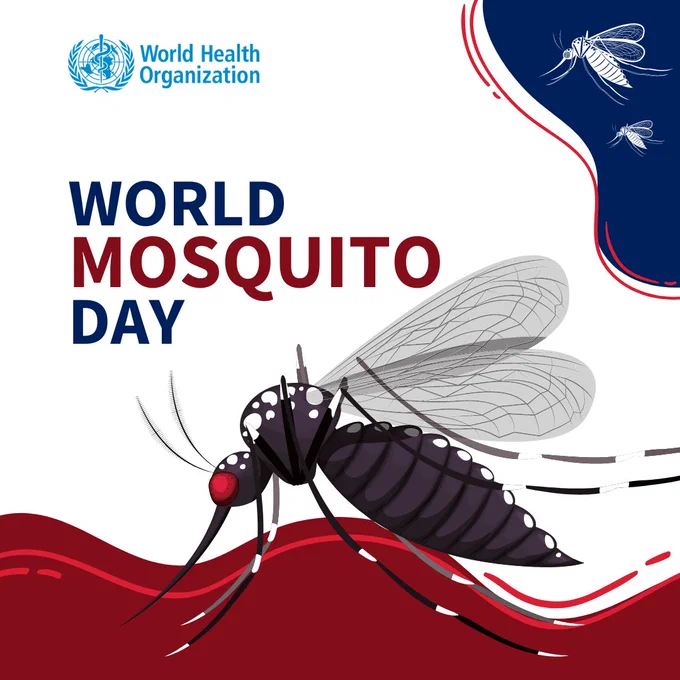 Illustration of a mosquito feeding and two other insects flying. 