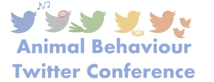 Animal Behaviour Twitter Conference logo with Twitter birds demonstrating different behaviour.
