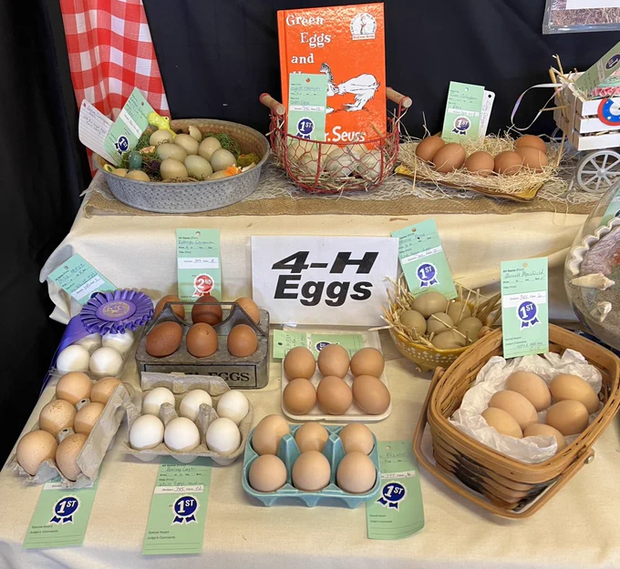 Eggs in variously sized cartons.
